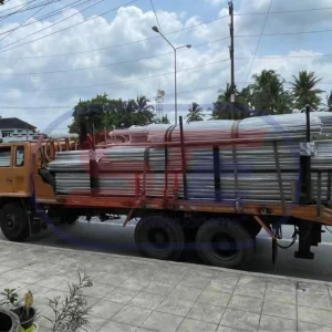 ท่อแทงปาล์ม