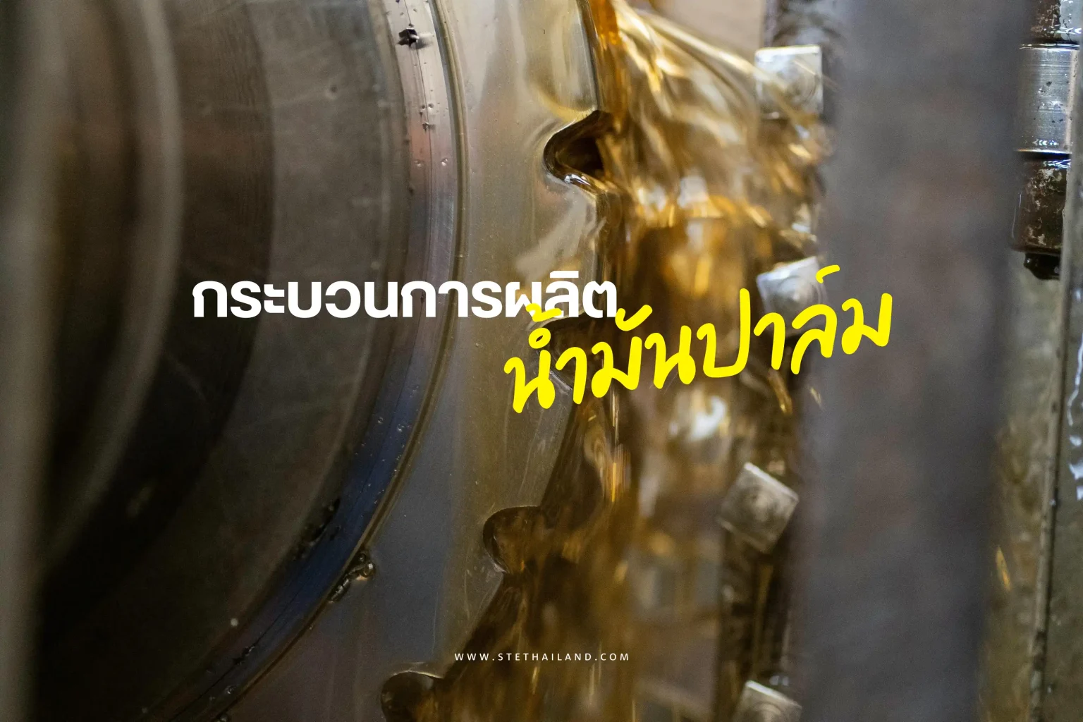 กระบวนการผลิตน้ำมันปาล์ม-Cover