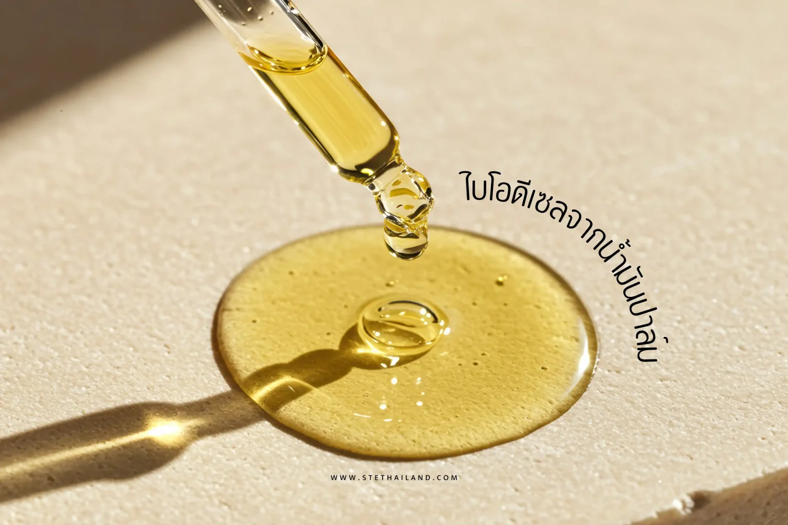 ไบโอดีเซลจากน้ำมันปาล์ม-Cover